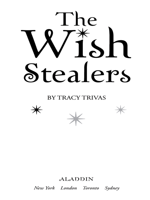 Cover image for book The Wish Stealers