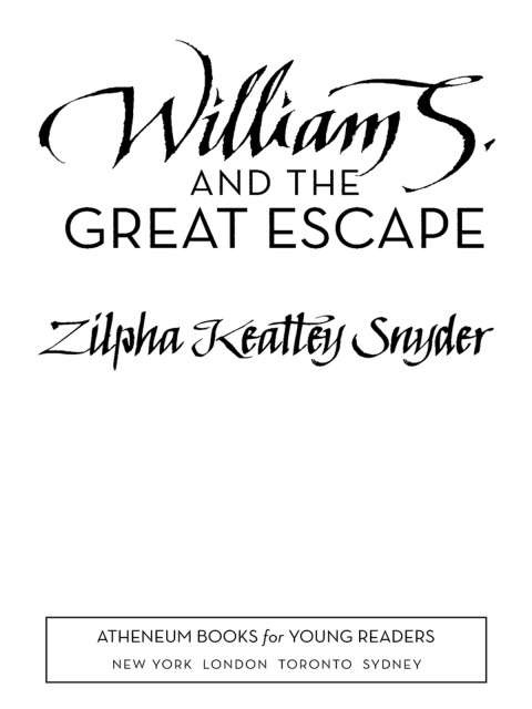 Cover image for book William S. and the Great Escape