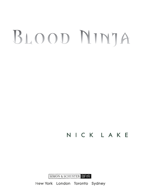 Cover image for book Blood Ninja