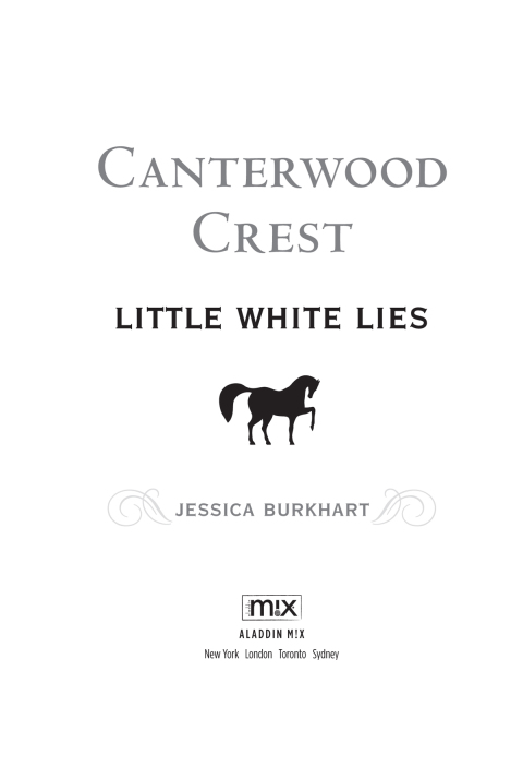 Cover image for book Little White Lies