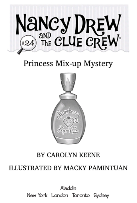 Cover image for book Princess Mix-up Mystery
