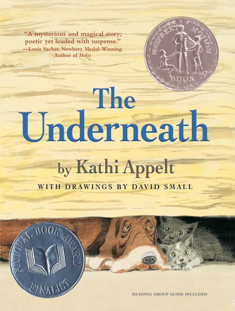 Cover image for book The Underneath