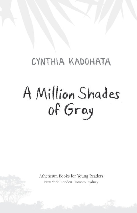 Cover image for book A Million Shades of Grey