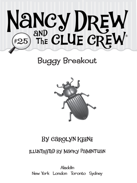 Cover image for book Buggy Breakout
