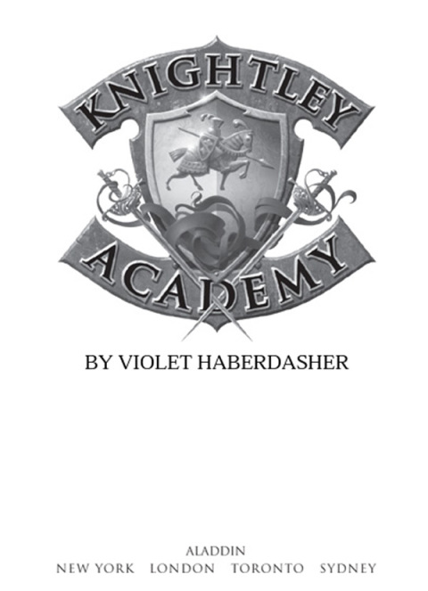 Cover image for book Knightley Academy