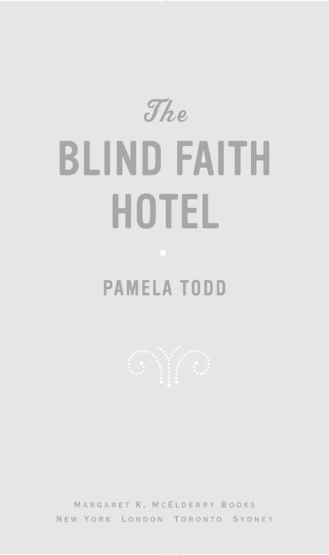Cover image for book The Blind Faith Hotel