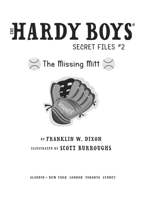 Cover image for book The Missing Mitt