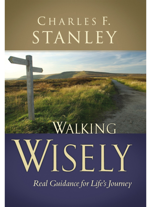 Cover image for book Walking Wisely