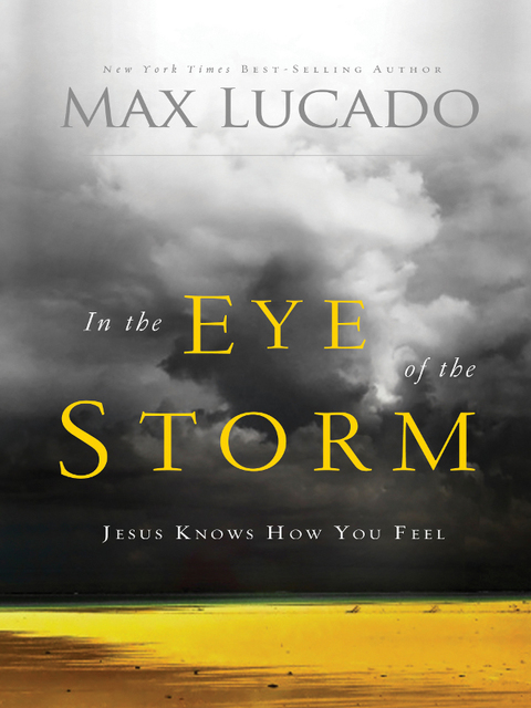Cover image for book In the Eye of the Storm