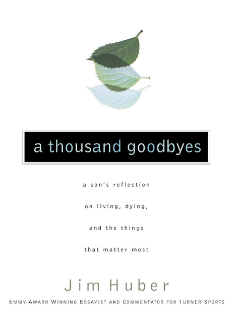 Cover image for book A Thousand Goodbyes