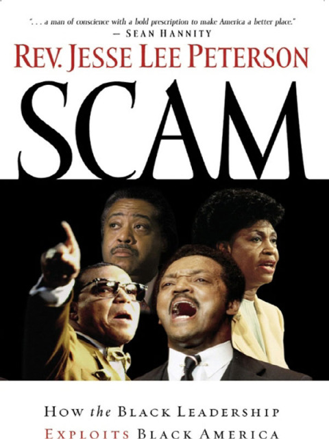 Cover image for book Scam