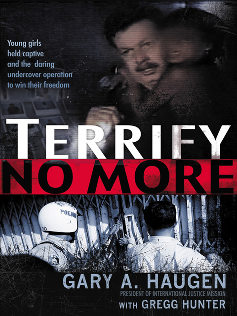 Cover image for book Terrify No More