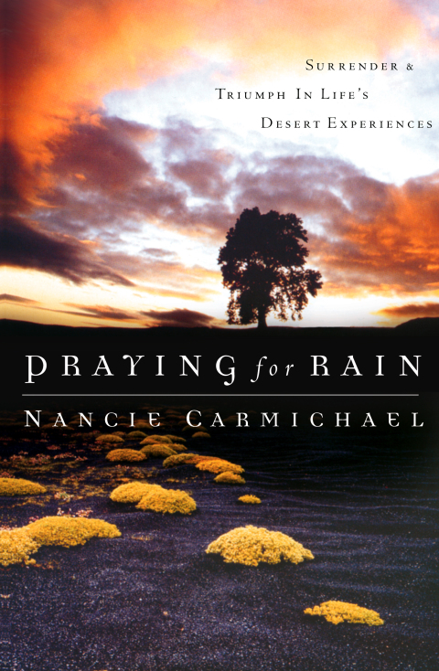 Cover image for book Touching the Shadows