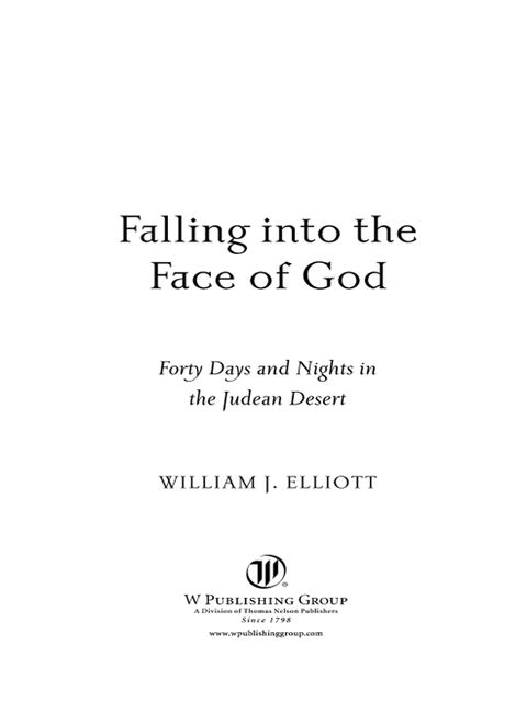 Cover image for book Falling Into the Face of God