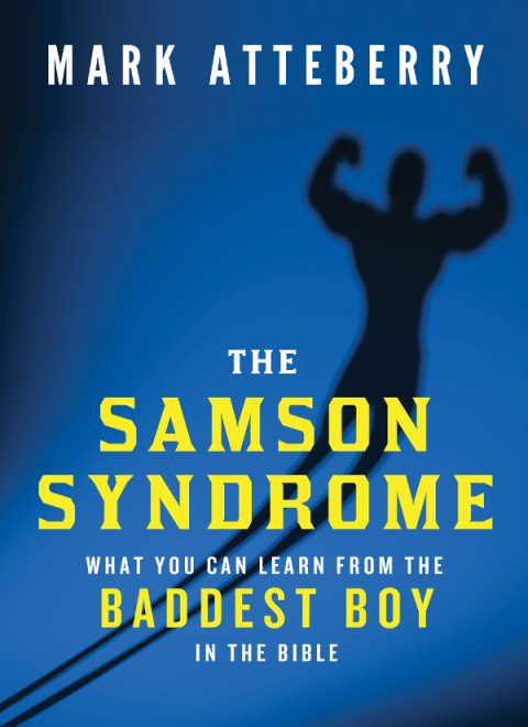 Cover image for book The Samson Syndrome