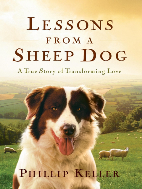 Cover image for book Lessons from a Sheep Dog