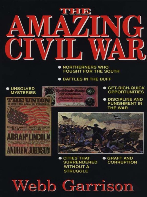 Cover image for book The Amazing Civil War