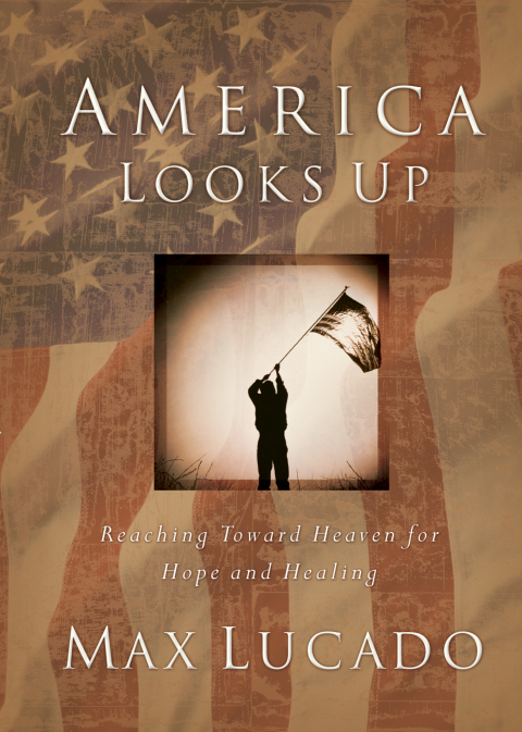 Cover image for book America Looks Up