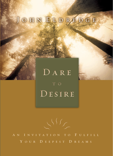 Cover image for book Dare to Desire