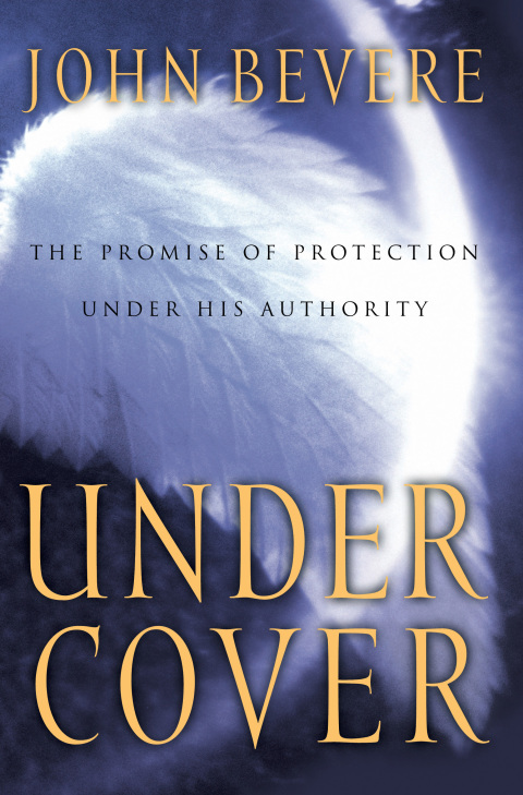 Cover image for book Under Cover