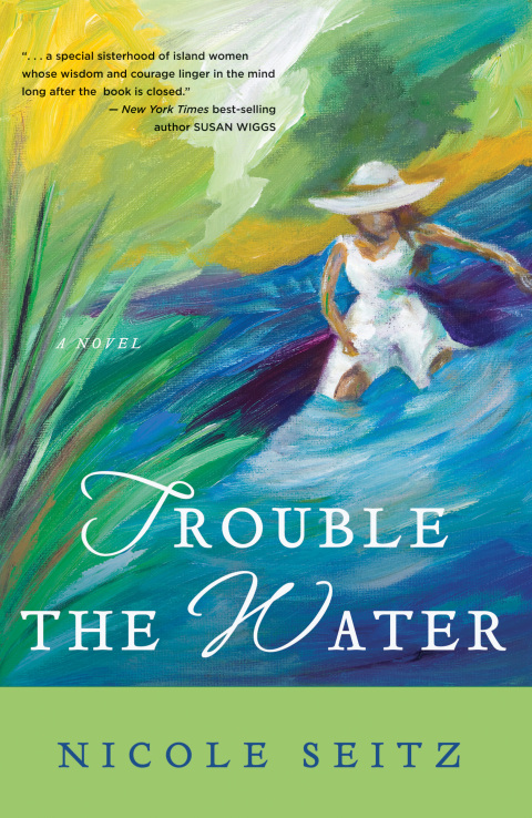 Cover image for book Trouble the Water
