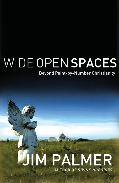 Cover image for book Wide Open Spaces