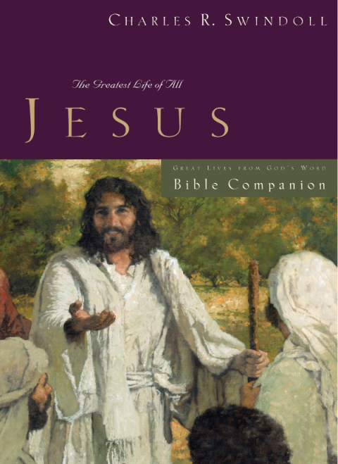 Cover image for book Great Lives: Jesus Bible Companion