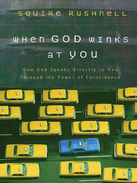 Cover image for book When God Winks at You