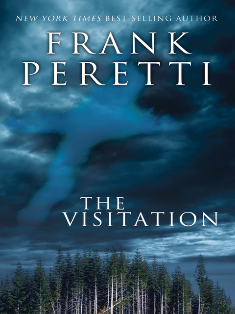 Cover image for book The Visitation