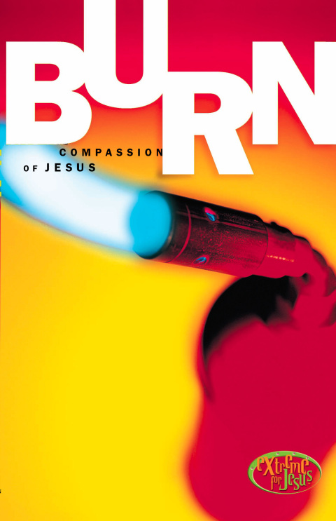 Cover image for book Burn