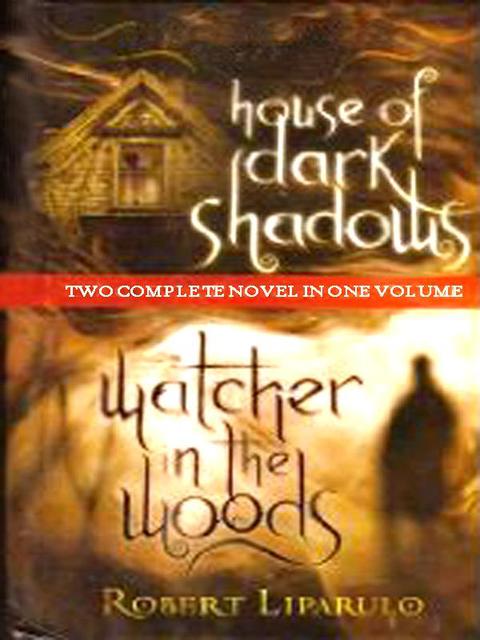 Cover image for book Dreamhouse Kings 2-in-1