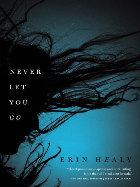 Cover image for book Never Let You Go