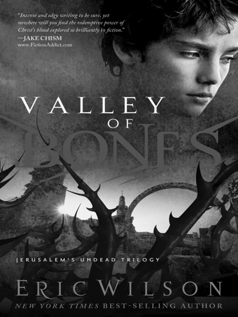 Cover image for book Valley of Bones