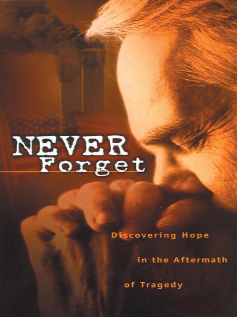 Cover image for book Never Forget