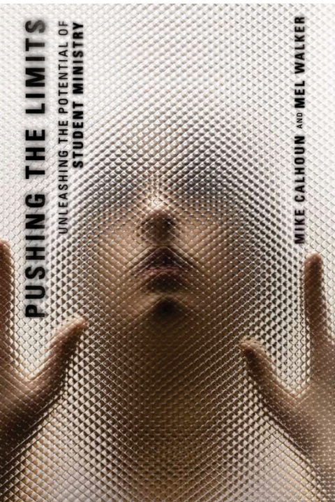 Cover image for book Pushing the Limits