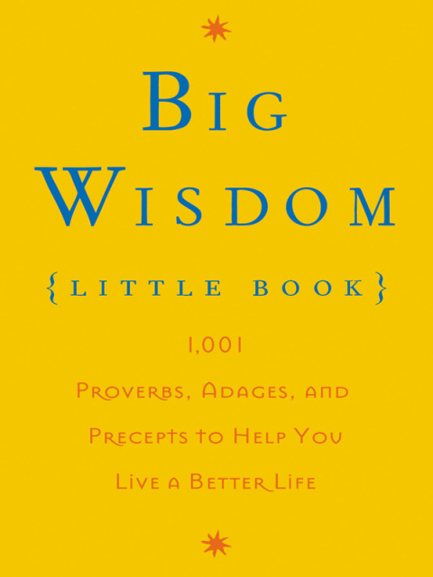 Cover image for book Big Wisdom (Little Book)