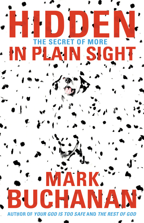 Cover image for book Hidden in Plain Sight