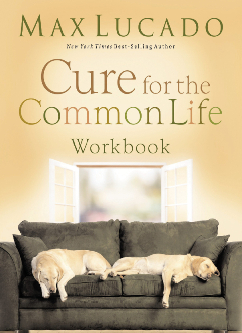 Cover image for book Cure for the Common Life Workbook
