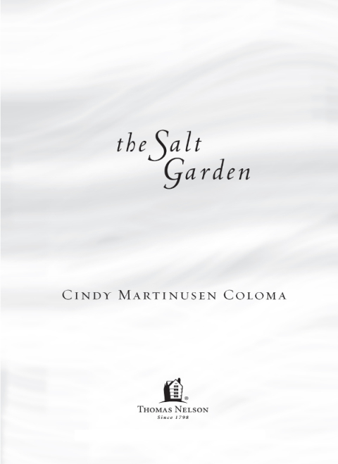 Cover image for book The Salt Garden