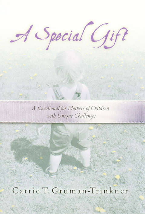 Cover image for book A Special Gift