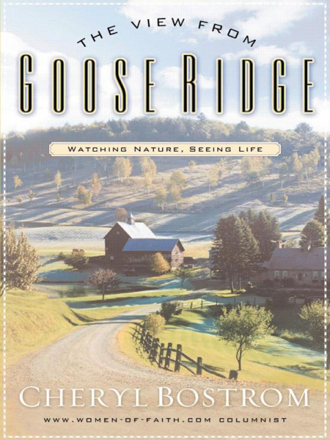 Cover image for book The View from Goose Ridge