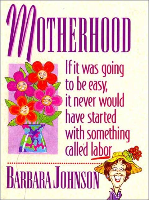 Cover image for book Motherhood Mini Book