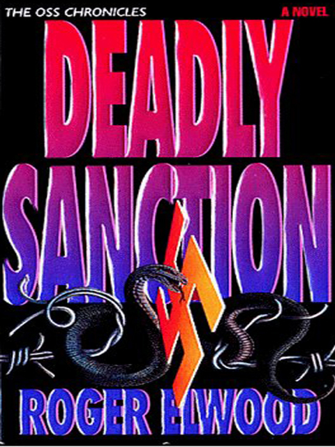 Cover image for book Deadly Sanction