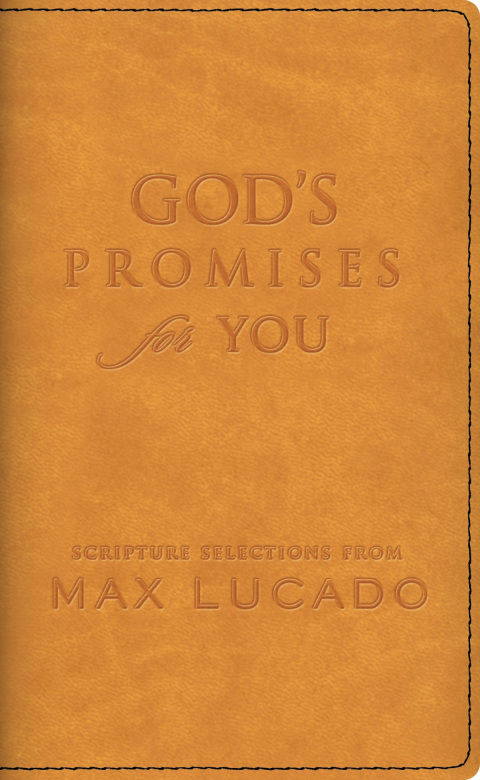 Cover image for book God's Promises for You