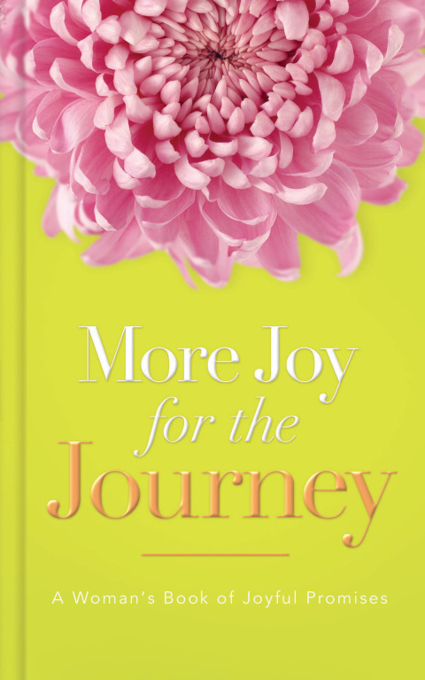 Cover image for book More Joy for the Journey