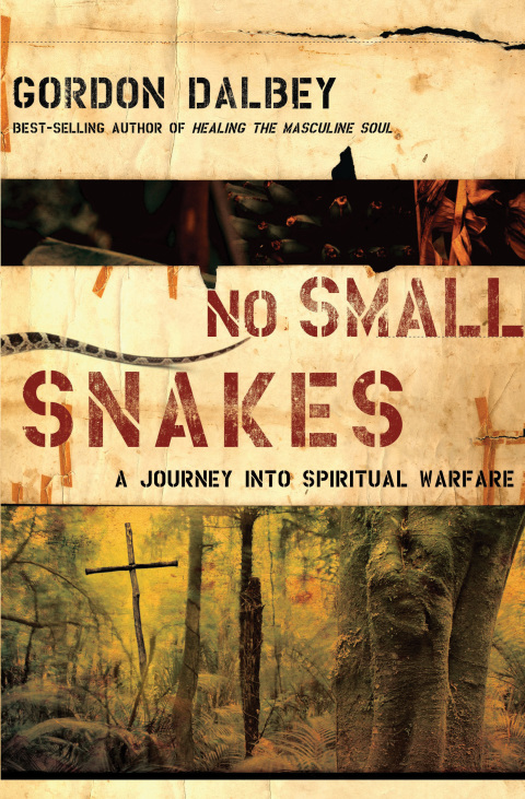 Cover image for book No Small Snakes