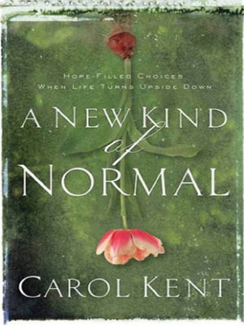 Cover image for book A New Kind of Normal