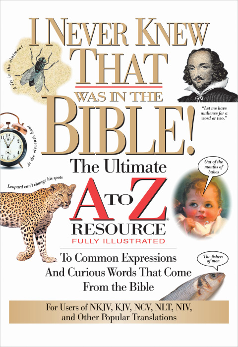 Cover image for book I Never Knew That Was in the Bible