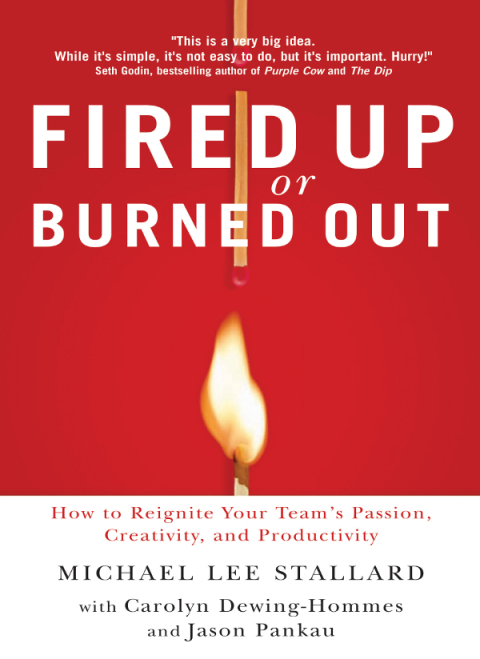 Cover image for book Fired Up or Burned Out