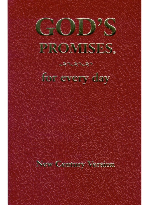 Cover image for book God's Promises for Every Day